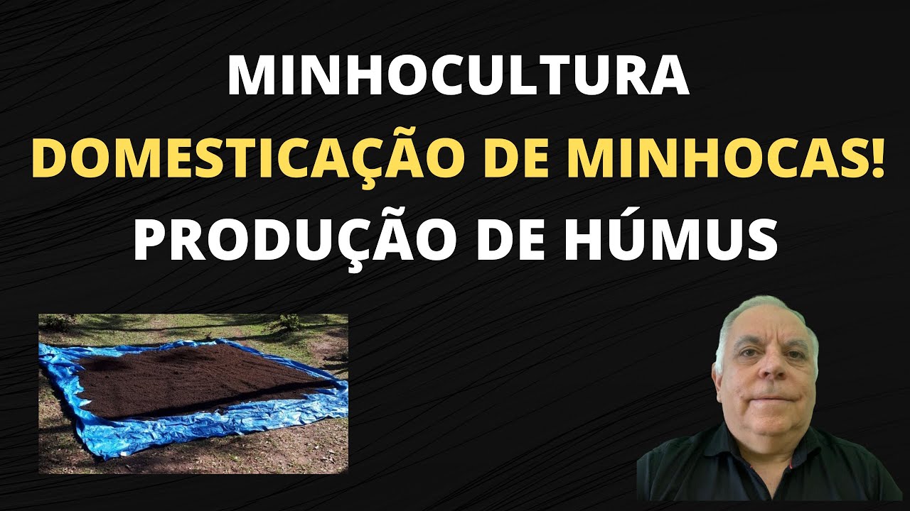 [SEGREDO] AS MINHOCAS foram DOMESTICADAS para PRODUZIR HÚMUS!