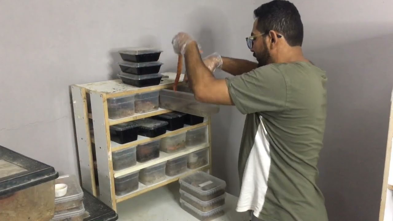 كواليس يومية من حياة مربي زواحف