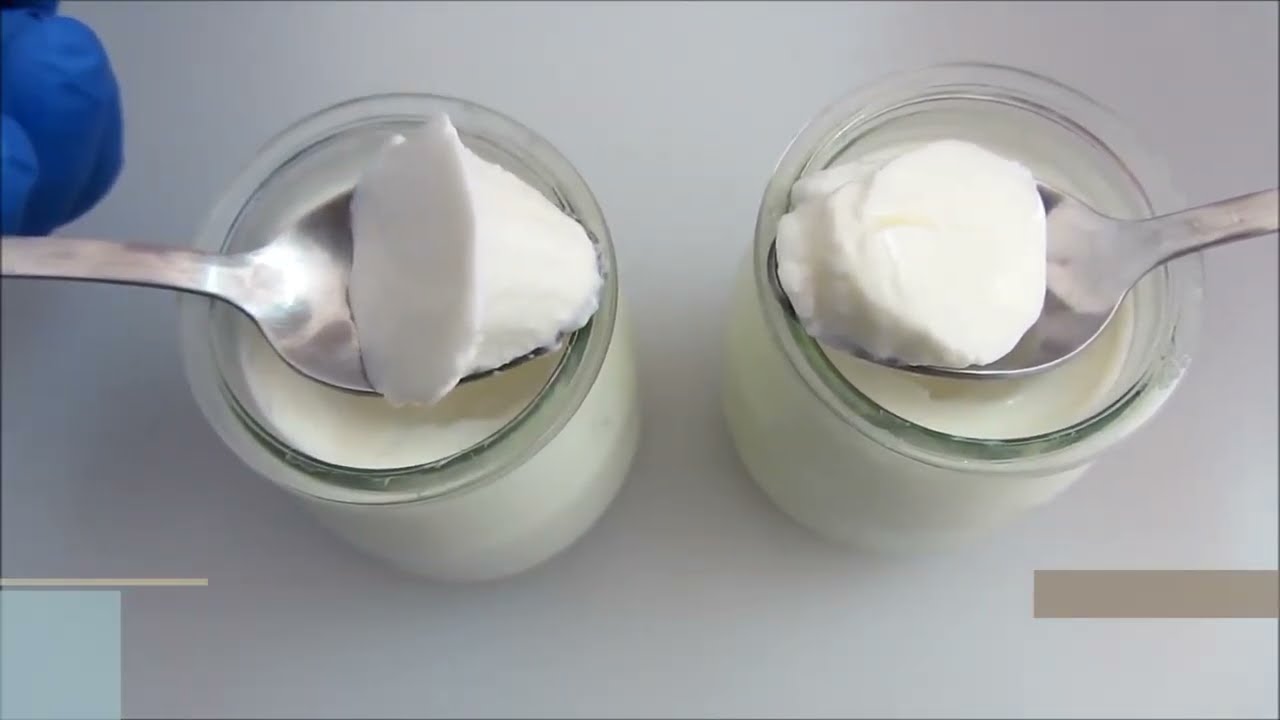 Cheese & Yoghurt with Probind CH 2 0 | Transglutaminase