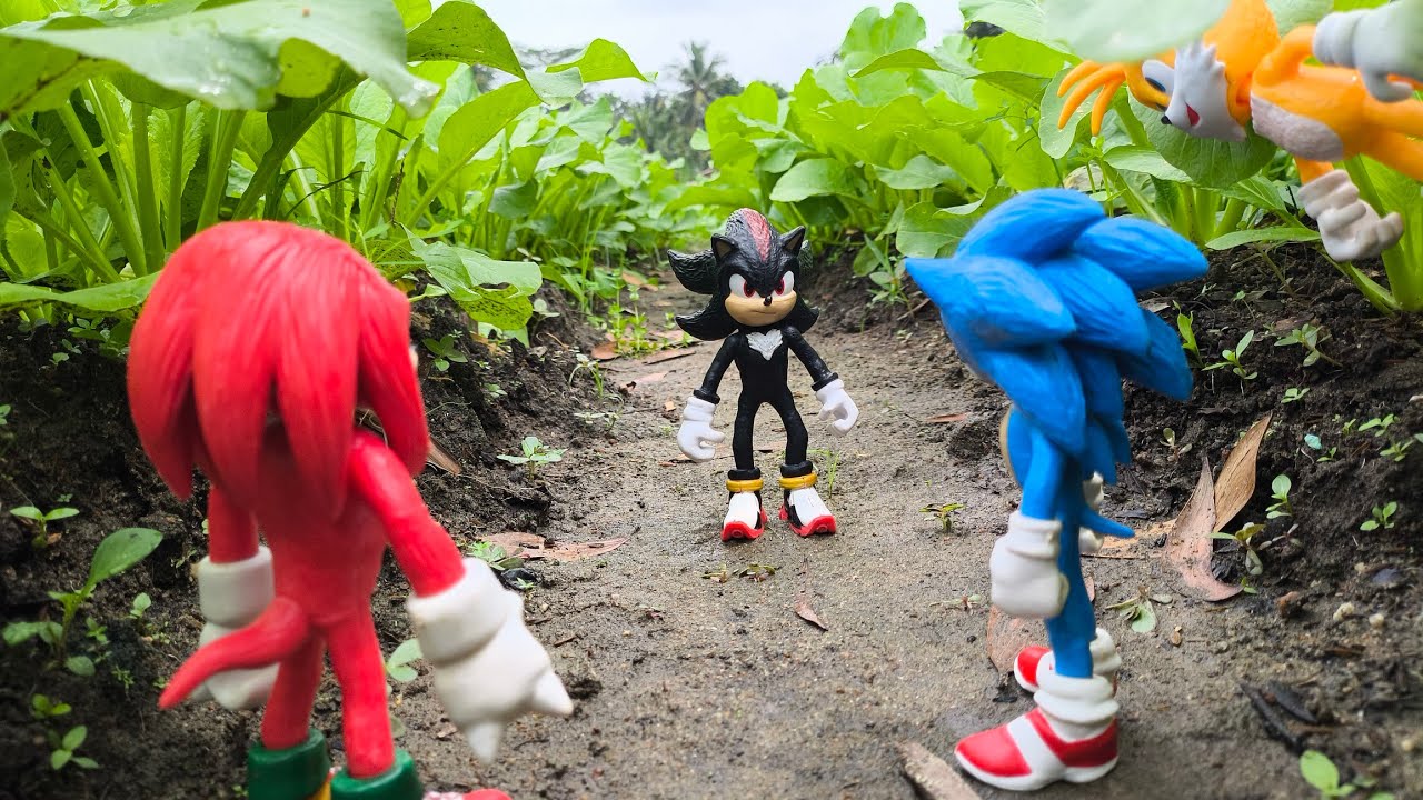 Sonic Hedgehog, Sonic Shadow, Knuckles, Tails, Metal Sonic, Super Sonic, Metal Sonic, Super Shadow