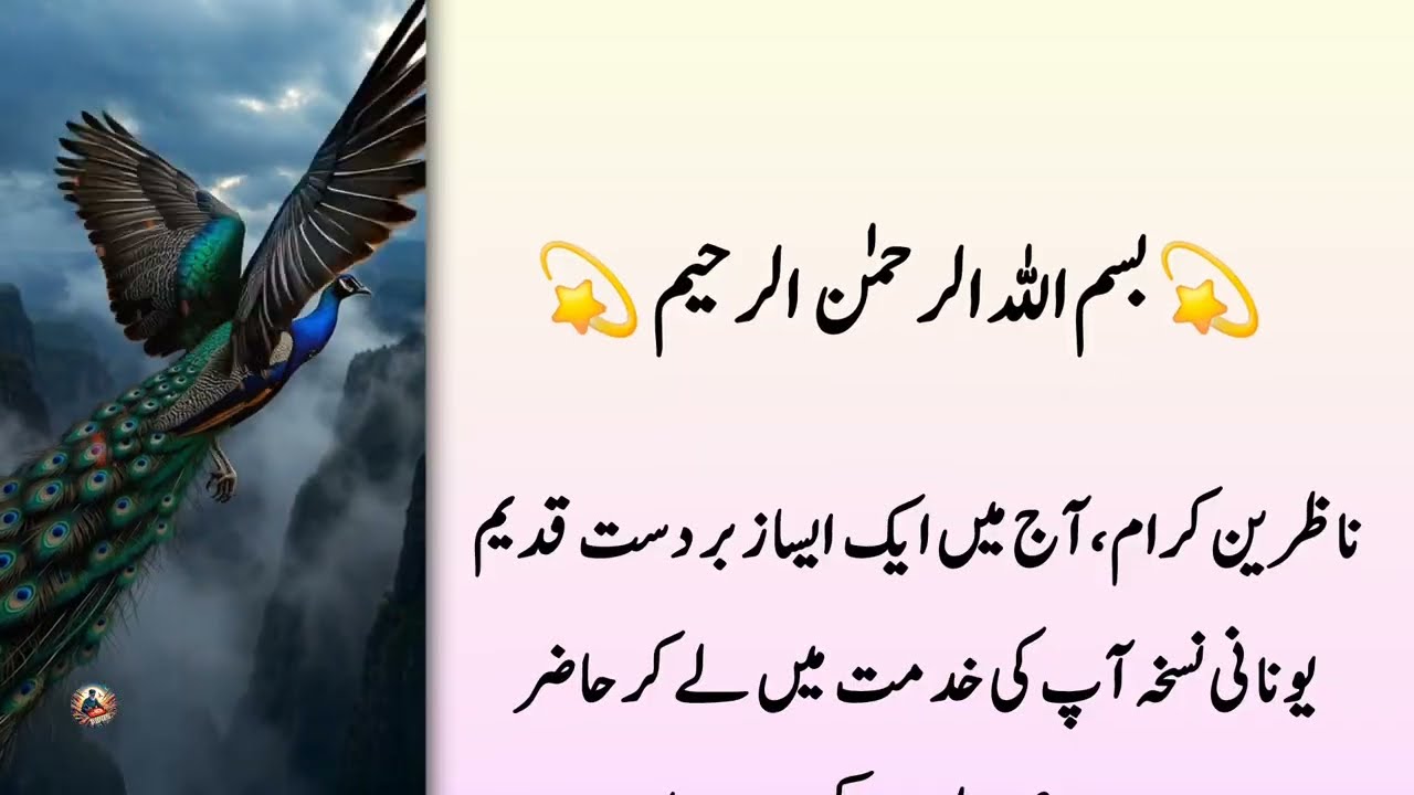 Islamic Quotes in Urdu | Heart Touching Life Lessons | Rumi Quotes | Inspirational Quotes