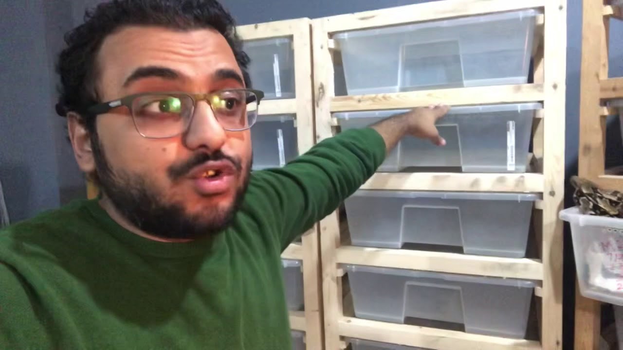 ازاي تعمل دولاب (راك) إحترافي للثعابيين