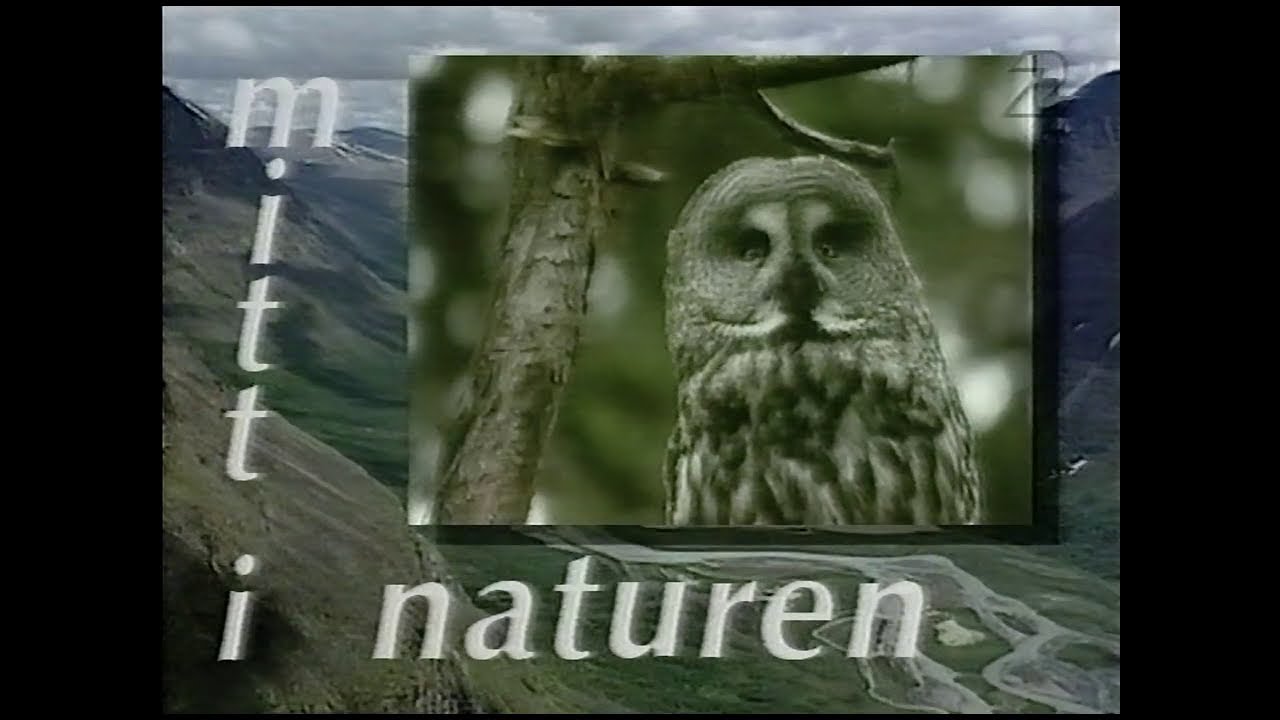 Mitt I naturen - Gudmundstj&auml;rn (SVT 1994-09-19)