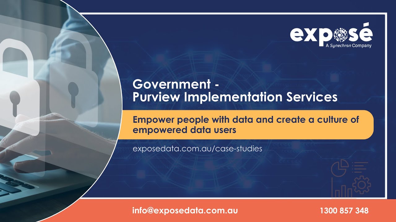 Government  - Purview Implementation Services Case Study