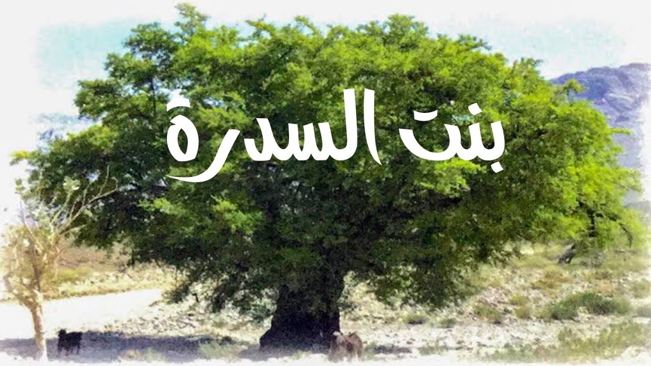 حكاية بنية السدرة الجزء الاول، باللهجة الجزائرية بقلم ام ايهم الايهم