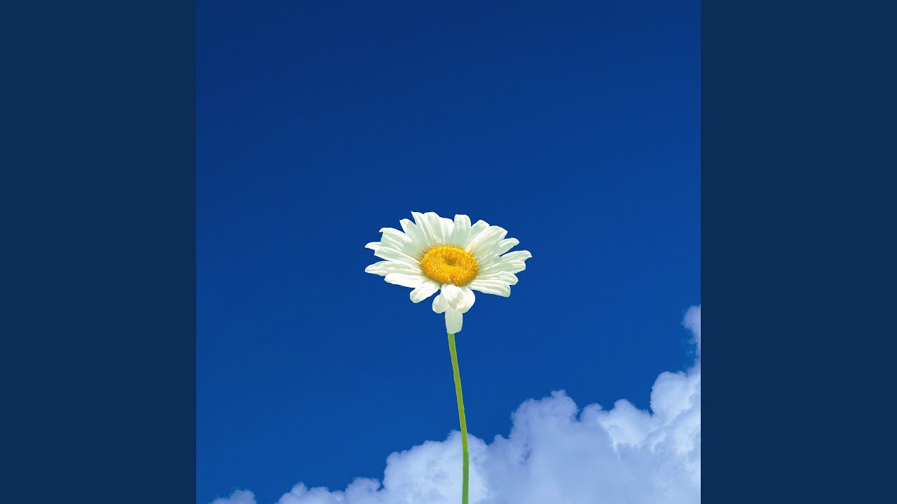 Beautiful Day
