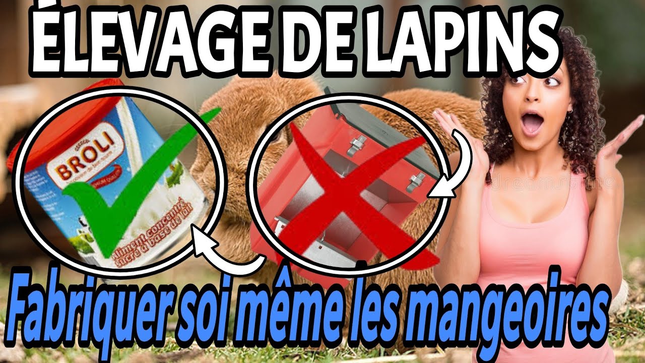 😱 COMMENT FABRIQUER DES MANGEOIRES ET DES ABREUVOIRS POUR LES LAPINS SANS DÉPENSER UN SEUL SOUS