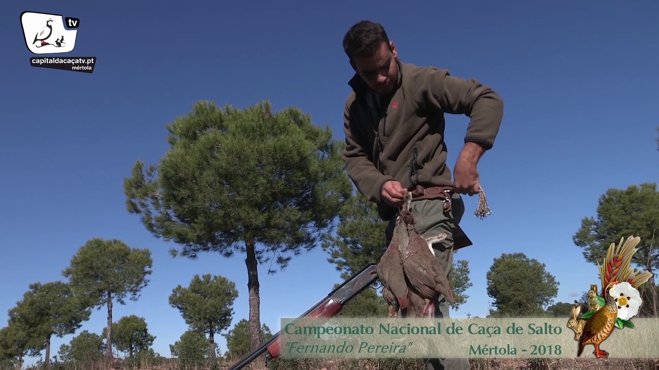 Campeonato Nacional de Caça De Salto 