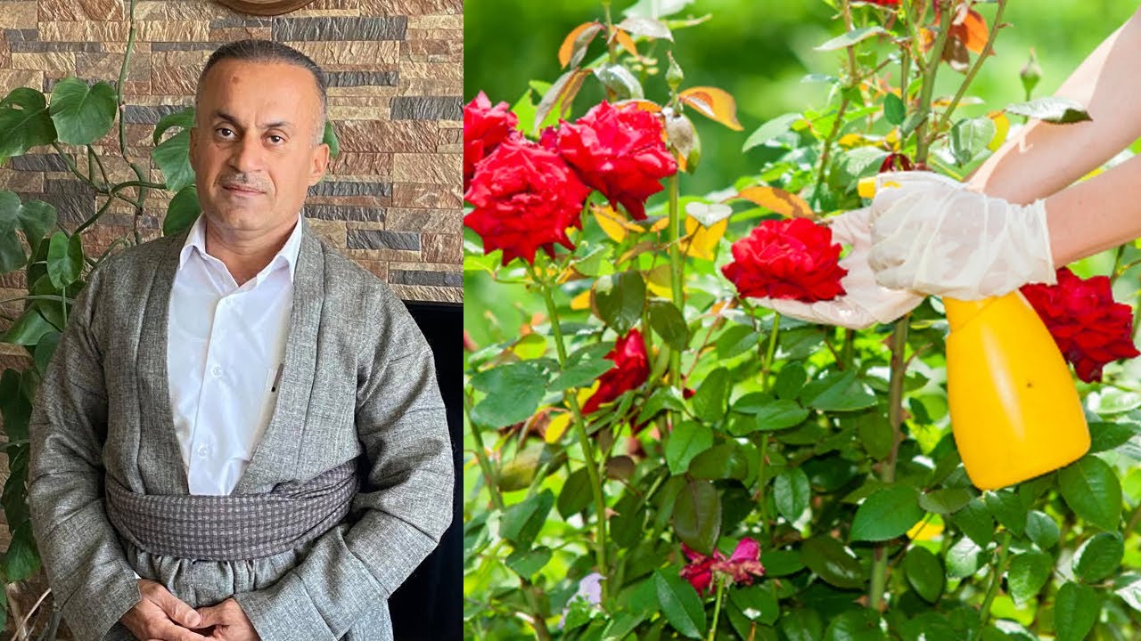 چۆنیەتی بەخێوکردنی گوڵی سروشتی