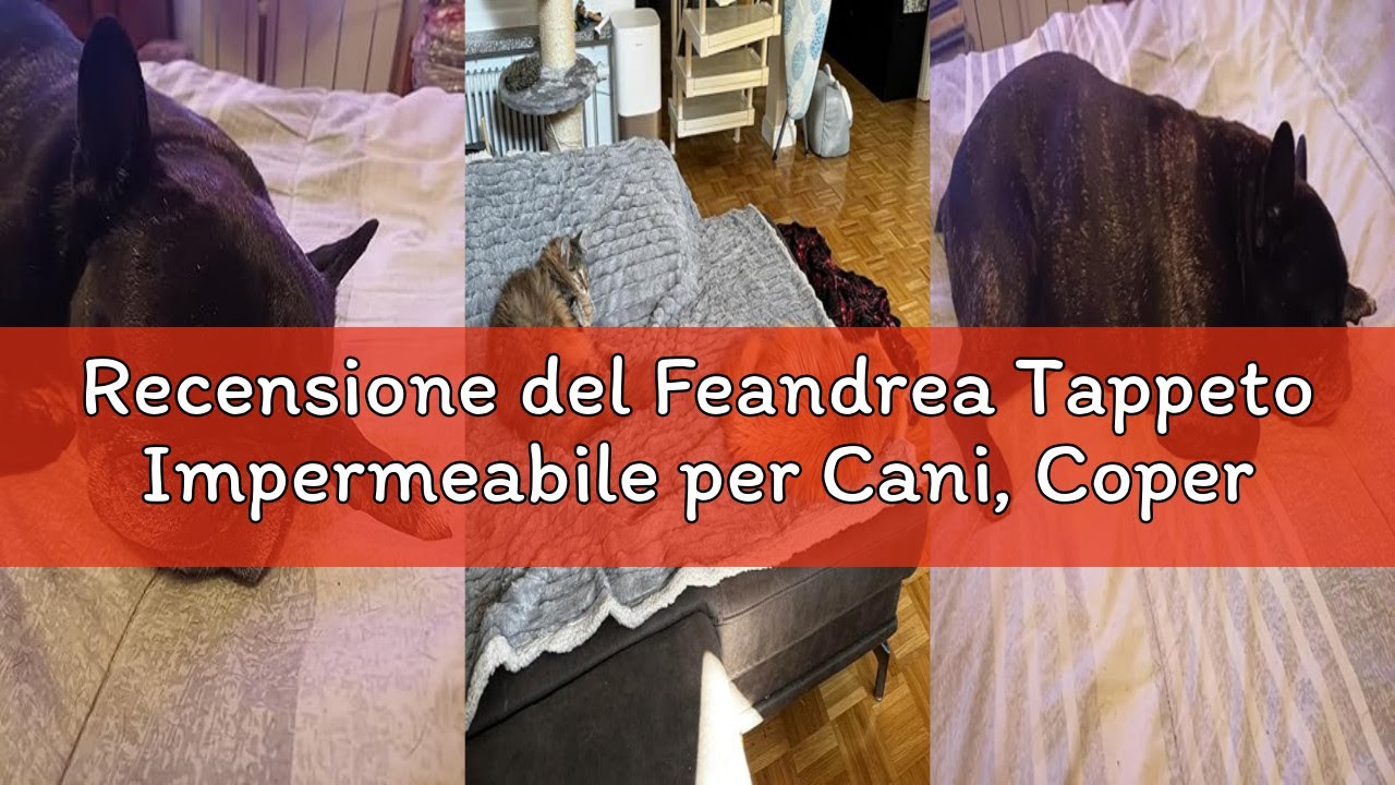 Recensione del Feandrea Tappeto Impermeabile per Cani, Coperta Reversibile di Taglia XL, 152 x 127 c