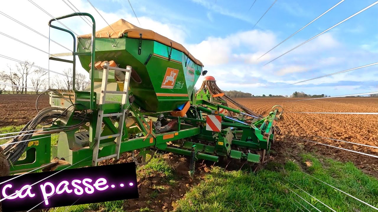 SEMIS DE FEVEROLES, ENFIN !!!!! - 2025