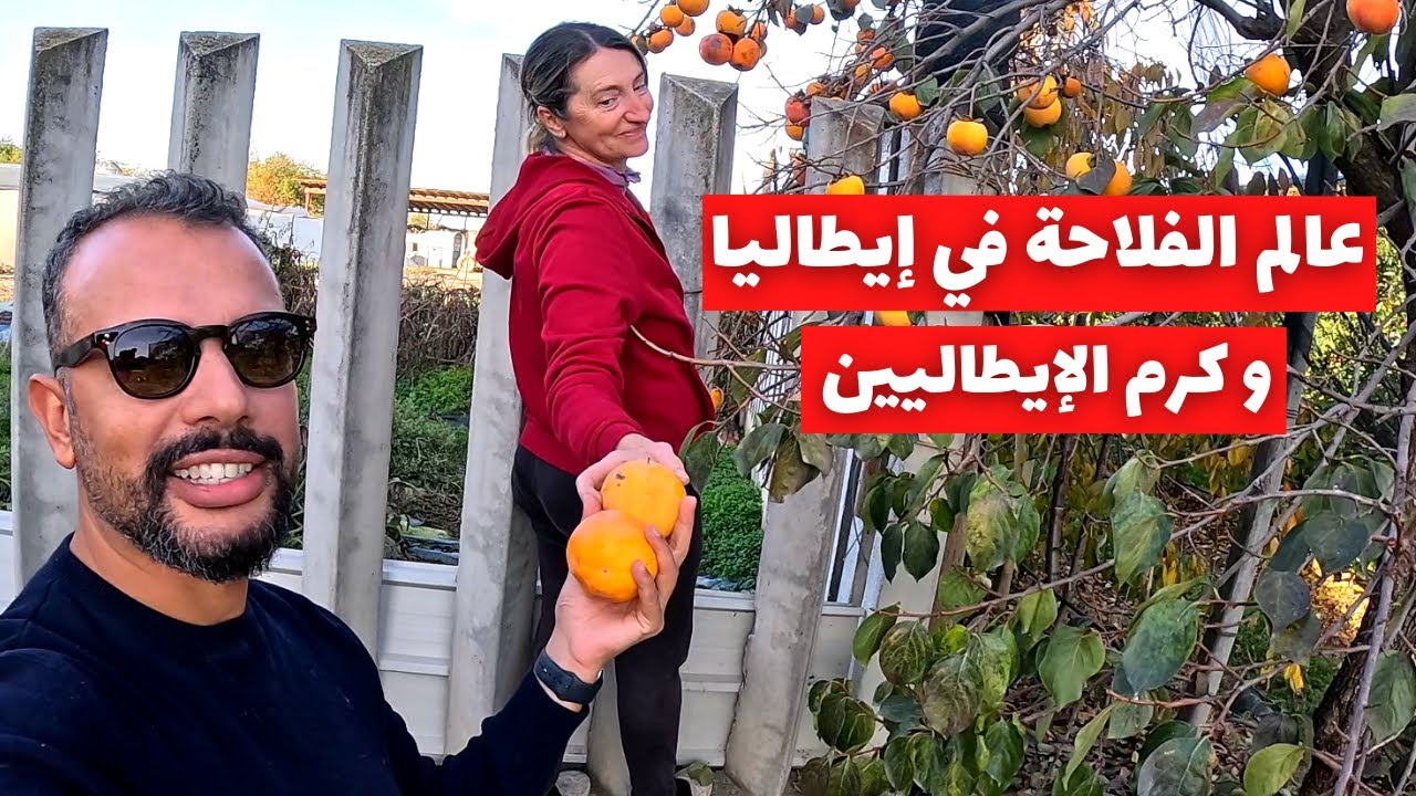 عمل الفلاحة في إيطاليا و كرم الإيطاليين