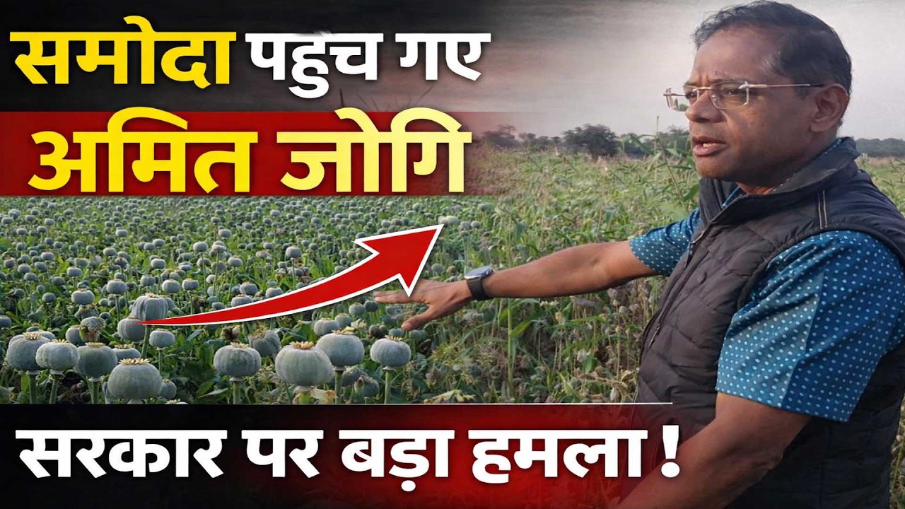 दुर्ग के समोदा में अफीम की खेती से हड़कंप | मौके पर पहुंचे अमित जोगी, सरकार-प्रशासन पर उठाए सवाल