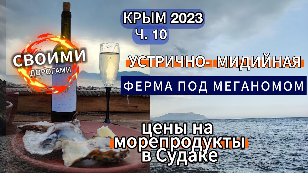 КРЫМ 2023 Ч.10 Цены на морепродукты в Крыму. Устрично-мидийная ферма под Меганомом. Будет вкусно!