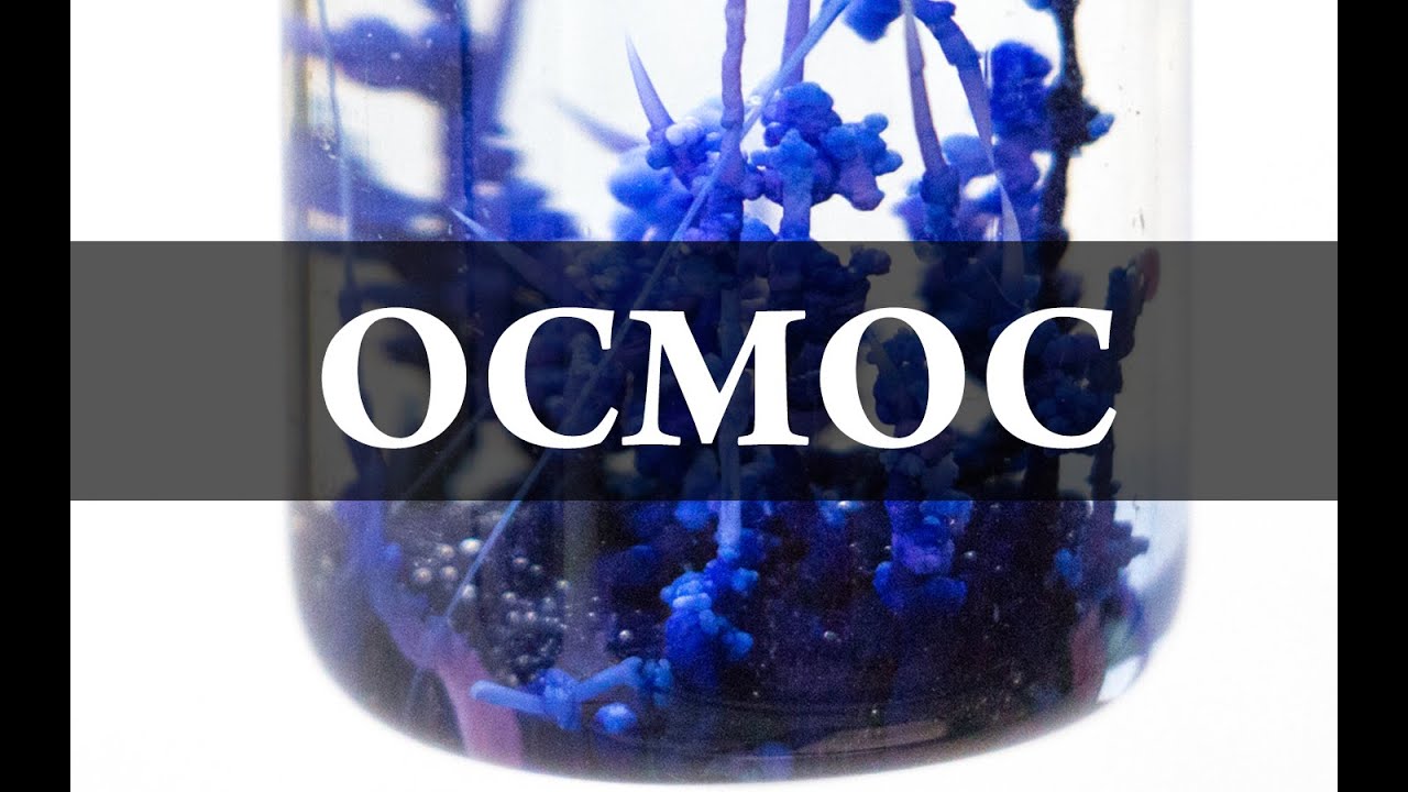 Осмос. Химический сад. Химия – просто