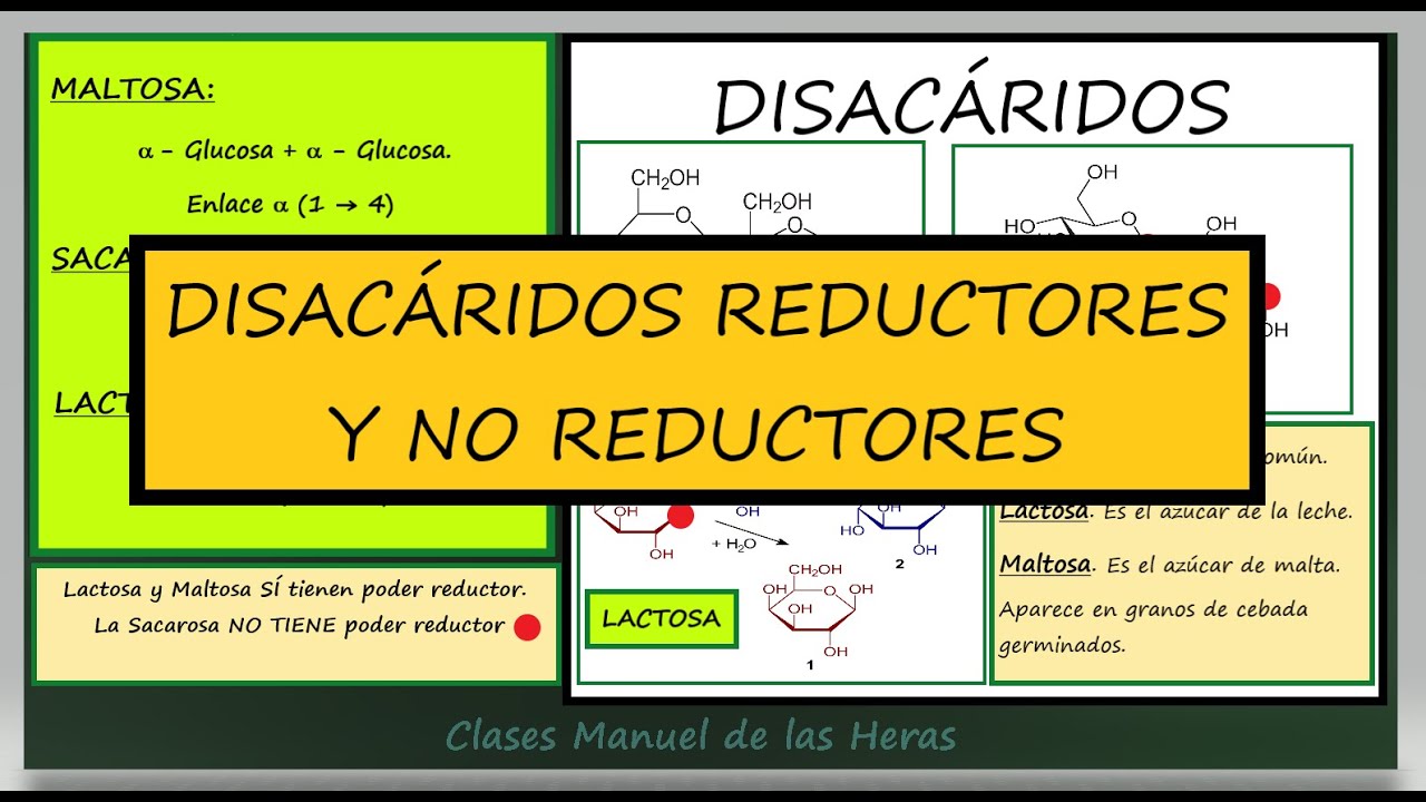 Disac&aacute;ridos Reductores y No Reductores. Gl&uacute;cidos. Bioqu&iacute;mica. Biolog&iacute;a Bachillerato.