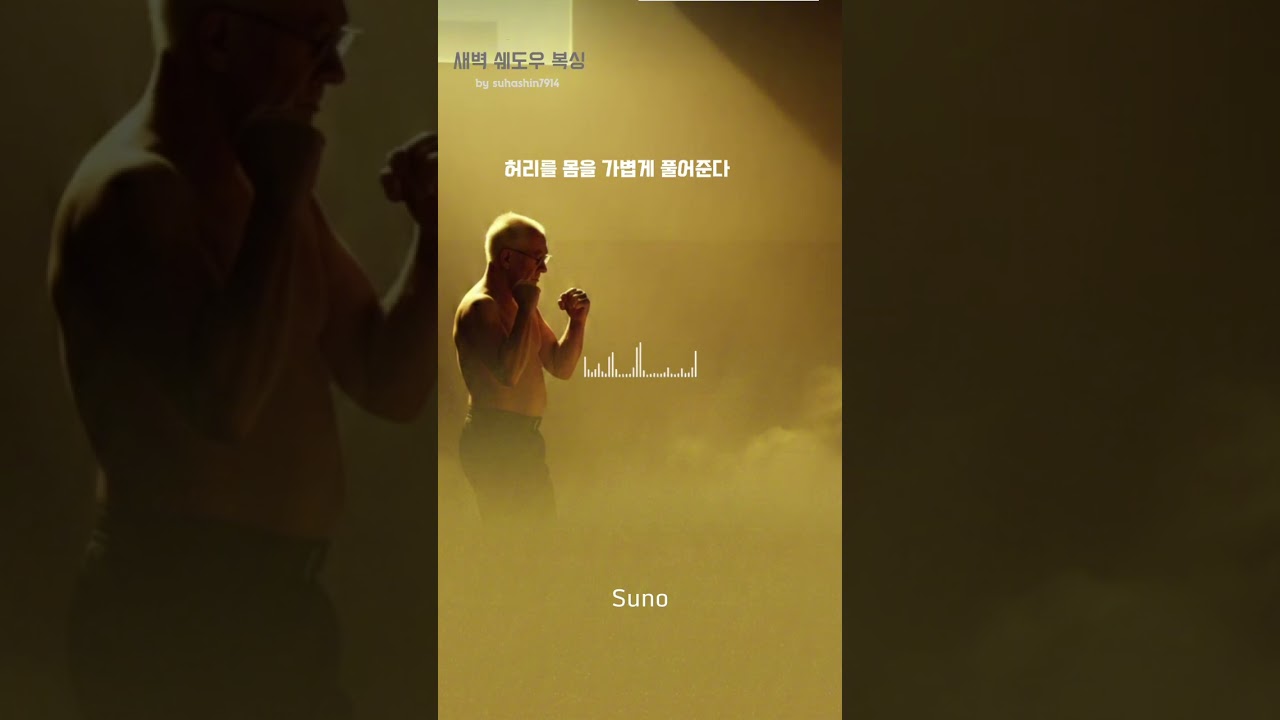 새벽 쉐도우 복싱L