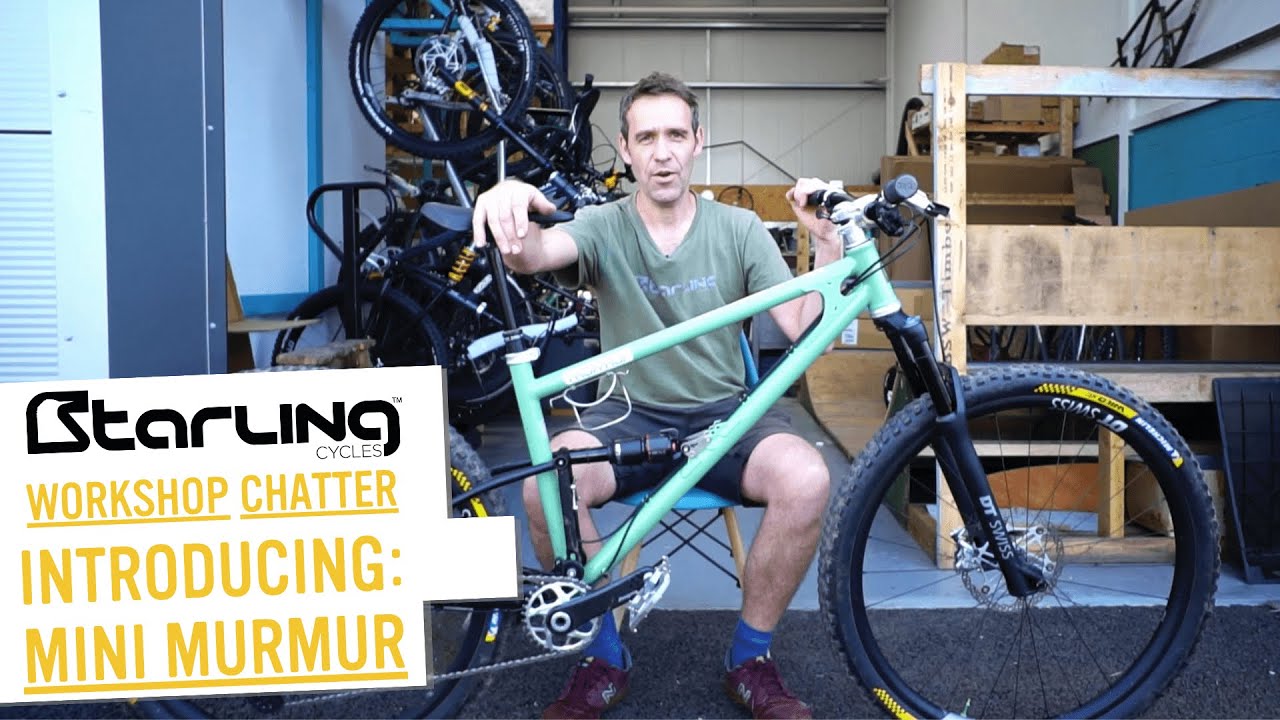 A STEEL XC bike?! Starling Cycles Mini Murmur | Workshop Chatter