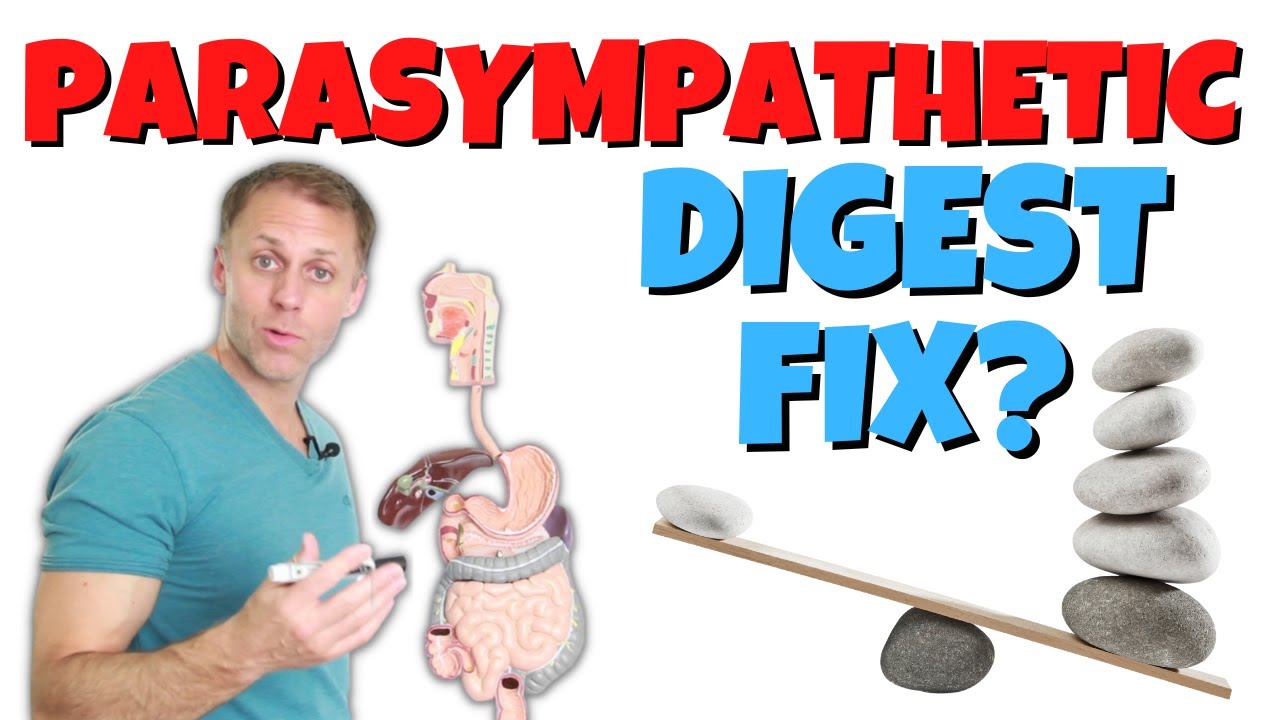 Correct a Parasympathetic Imbalance to Improve Digestion