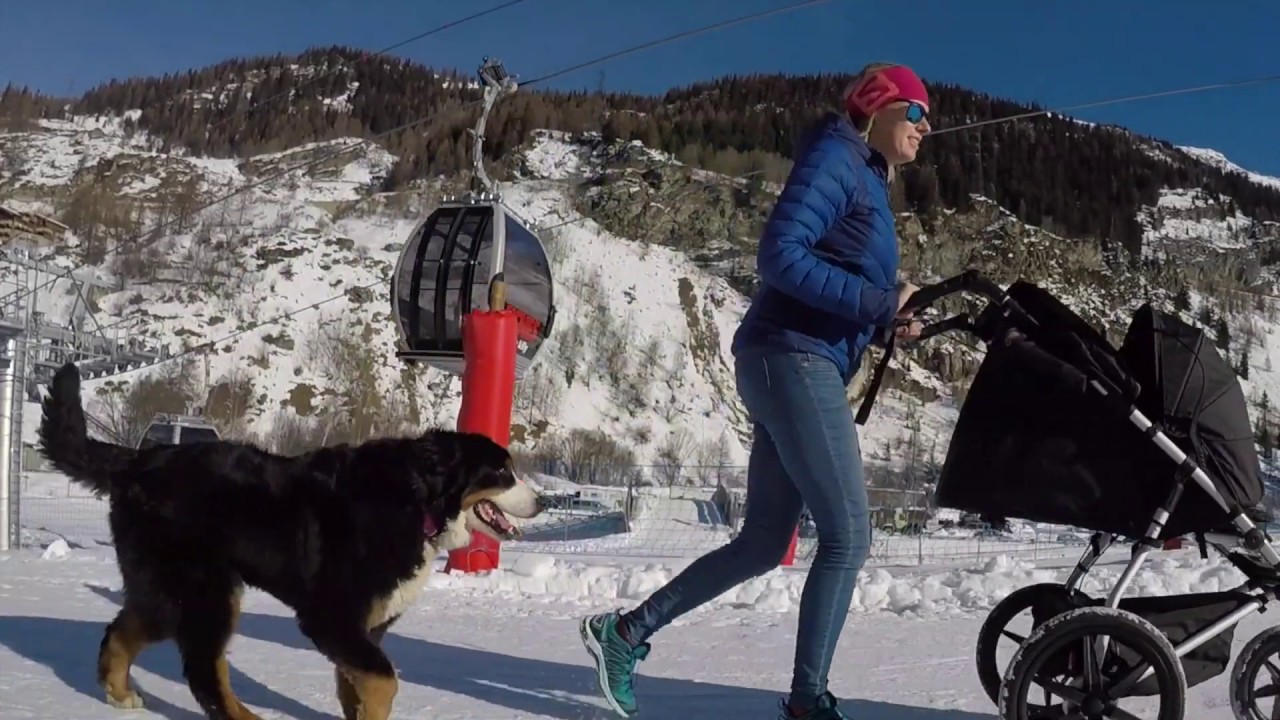 Mountain Buggy Terrain - Kit 8wks old 29.12.18