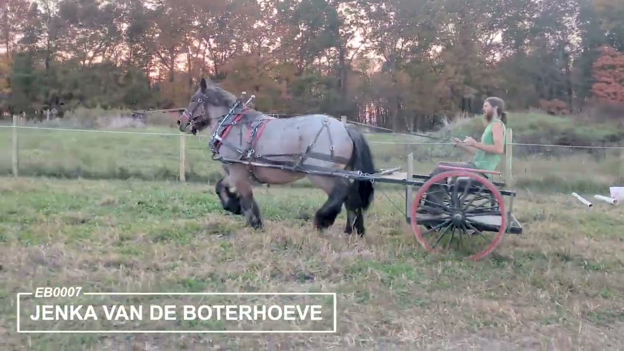 Jenka van de Boterhoeve Driving Trail Video