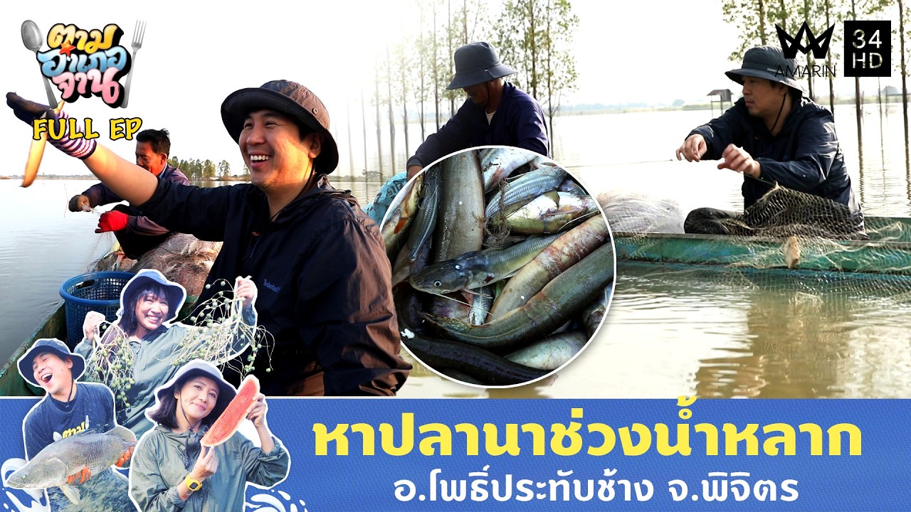 หาปลานาช่วงน้ำหลาก อ.โพธิ์ประทับช้าง จ.พิจิตร | ตามอำเภอจาน | 13 ม.ค. 69 Full EP