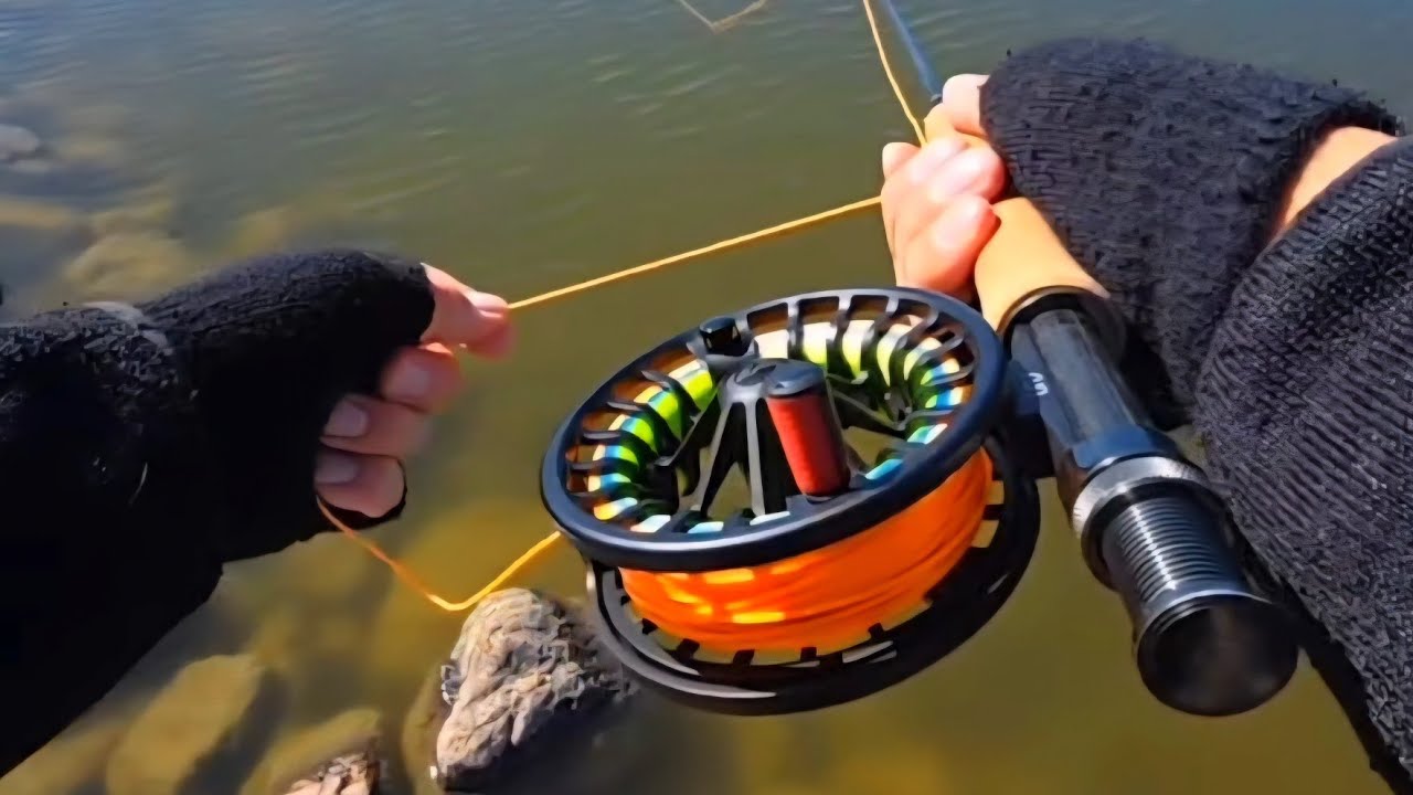 Fishing Live!🎣🐟🐟💯🔥👍💥🫡 #fishingvideo #fishing #fishinglife 