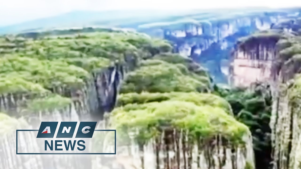 Brazil's Bolsonaro accused of crimes against humanity at ICC over Amazon deforestation | ANC