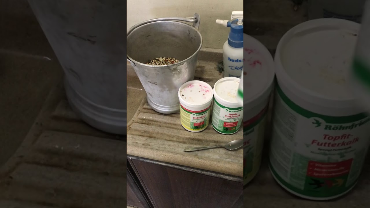 Rohnfrid  -Entrobac-  optibreed-Topfit  مكمل غذائي وصحي لبناء فراخ ذو صحه جيده وصحه عامه للطيور