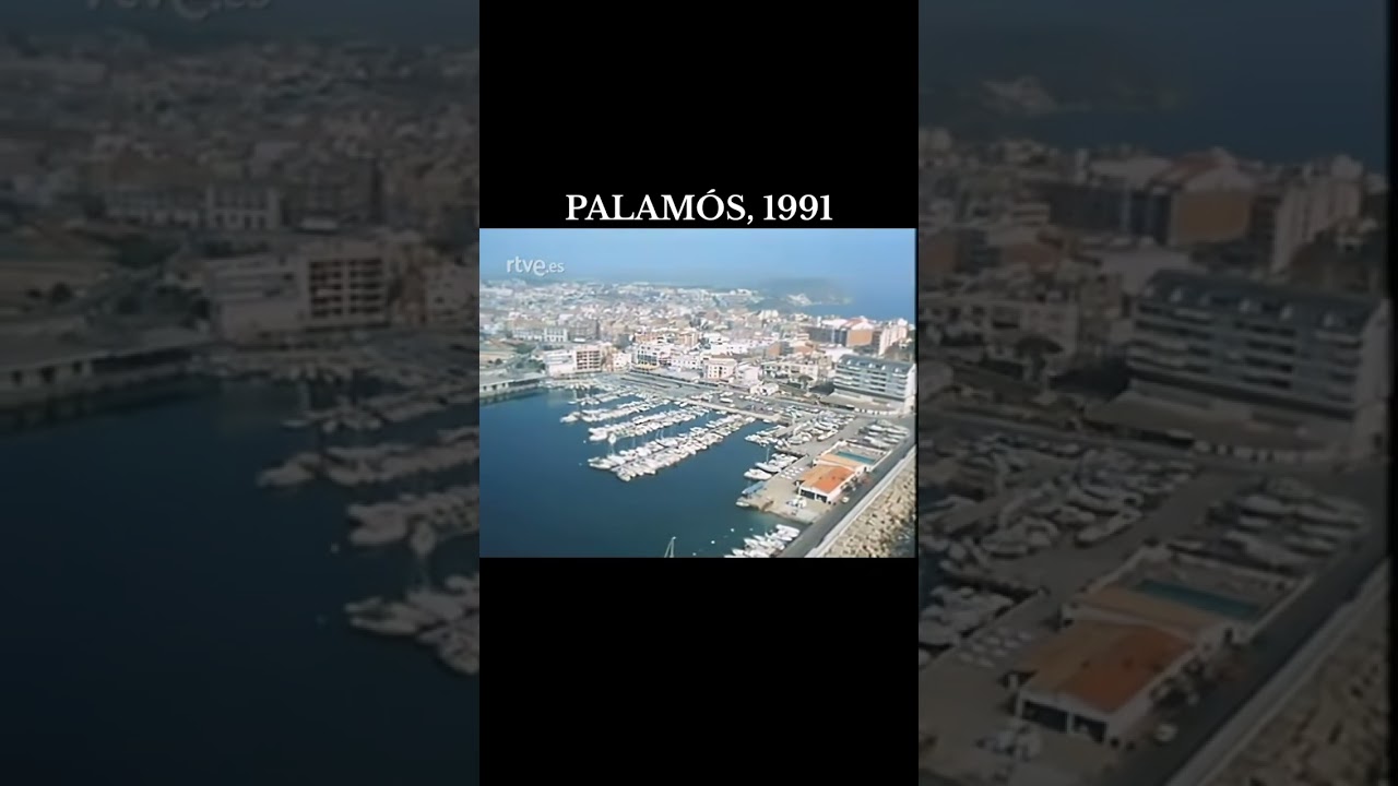 Palam&oacute;s, 1991