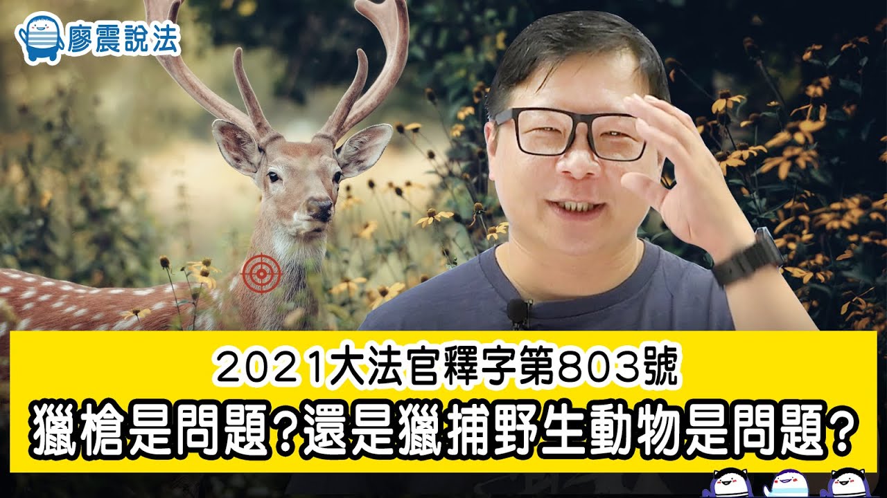 2021大法官釋字第803號| 獵槍是問題?還是獵捕野生動物是問題? | 廖震說法 | CC字幕