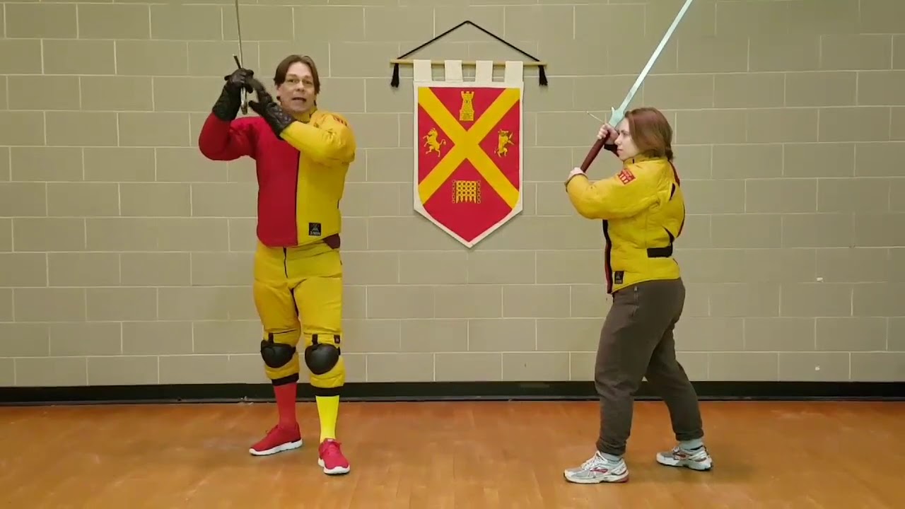 Novice Longsword 1 The guard