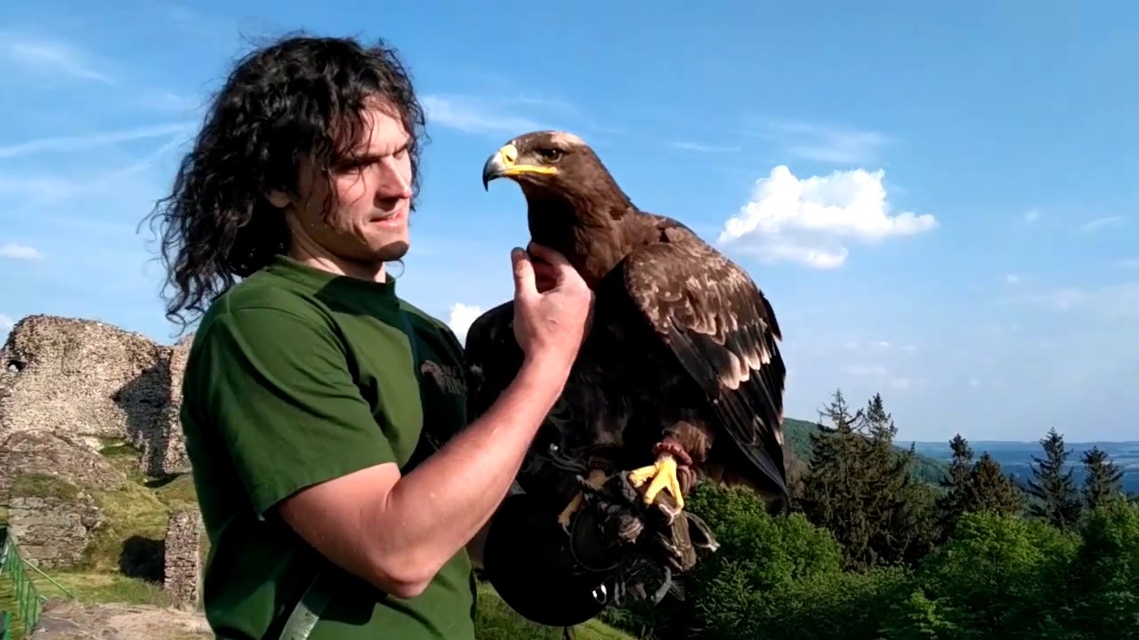 Volné odpoledne na Lichnici (mobil verze)