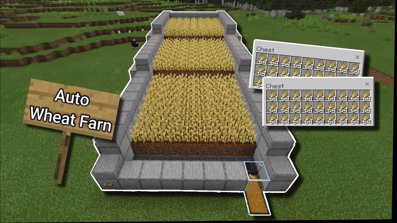 Как сделать автоматическую ферму пшеницы в Minecraft