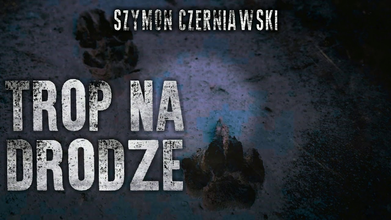 Trop na drodze cz. 2/2 - CreepyPasta [PL]