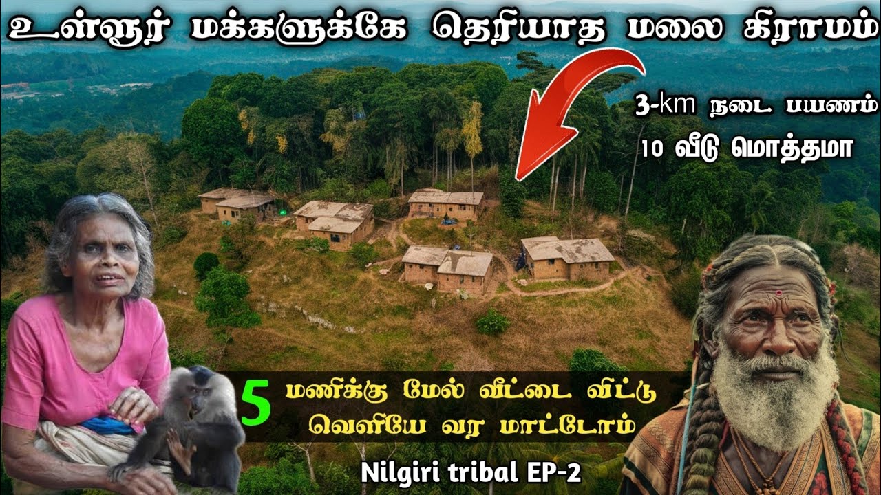 உள்ளூர் மக்களுக்கே தெரியாத கிராமம்🐆5மணிக்கு மேல வெளியே வரமாட்டோம்🐅#tribal #village #nilgiris #forest
