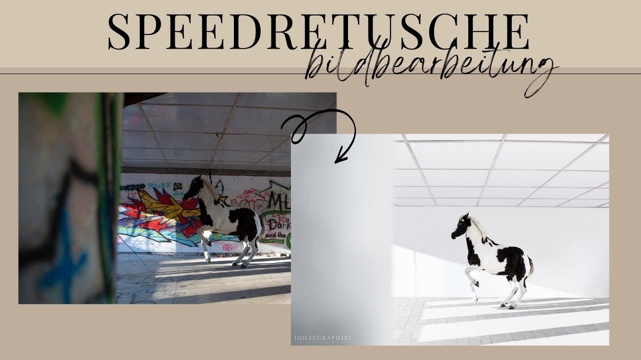 Speedretusche Graffiti-Pferd