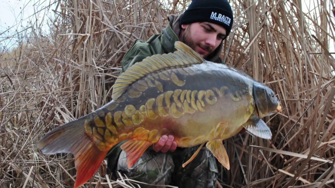 Winter carpfishing 2017