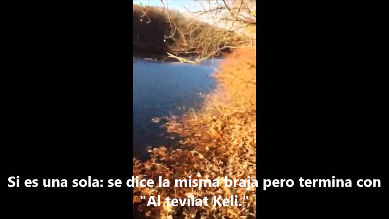 Tevilat Kelim Sumergir (Tevil&aacute;) Utensilios de Comer en una Mikveh