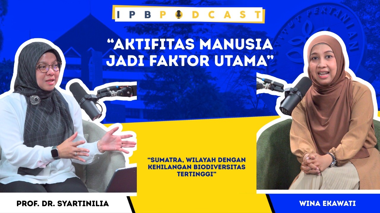 IPB Podcast: Sumatra, Wilayah dengan Kehilangan Biodiversitas Tertinggi
