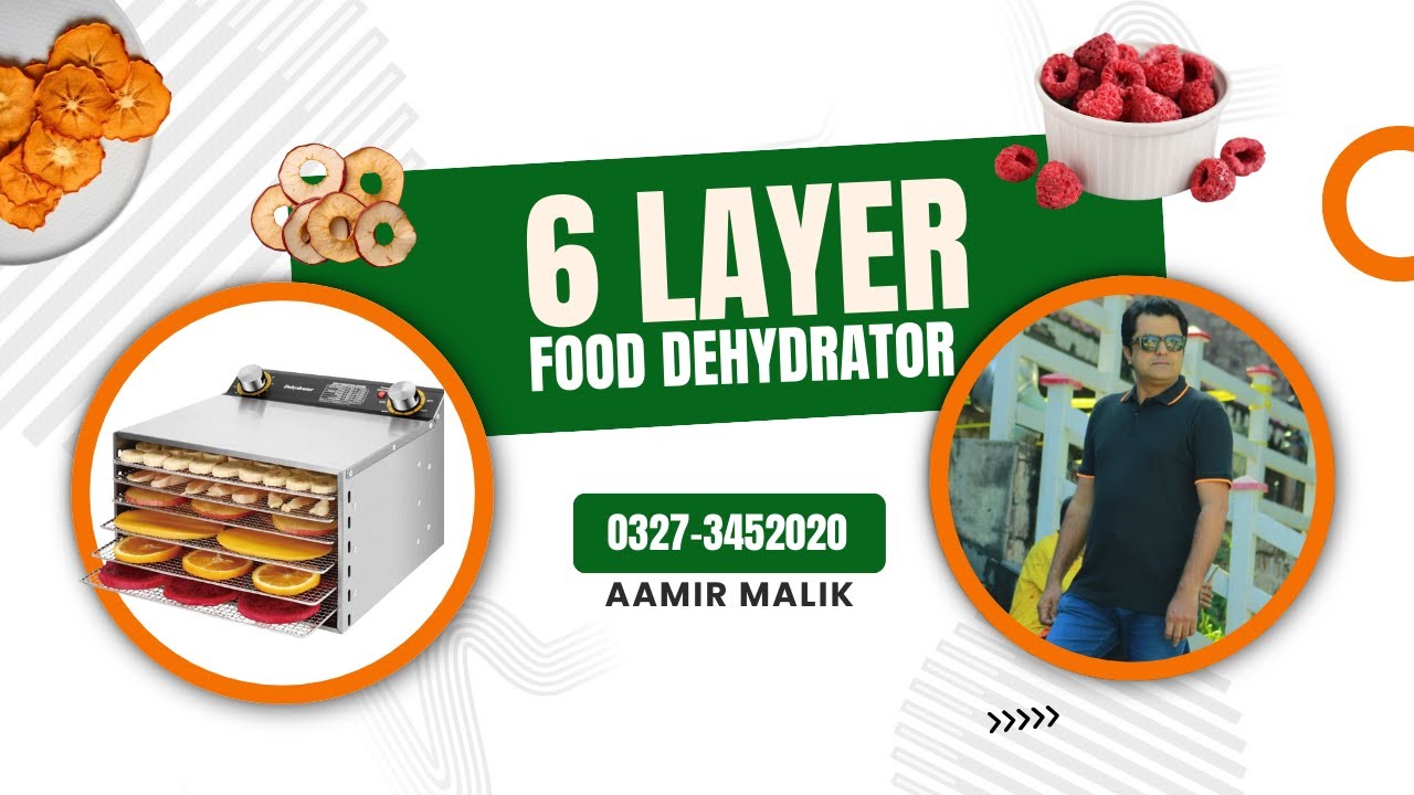06 layers small dehydrator small business idea home use