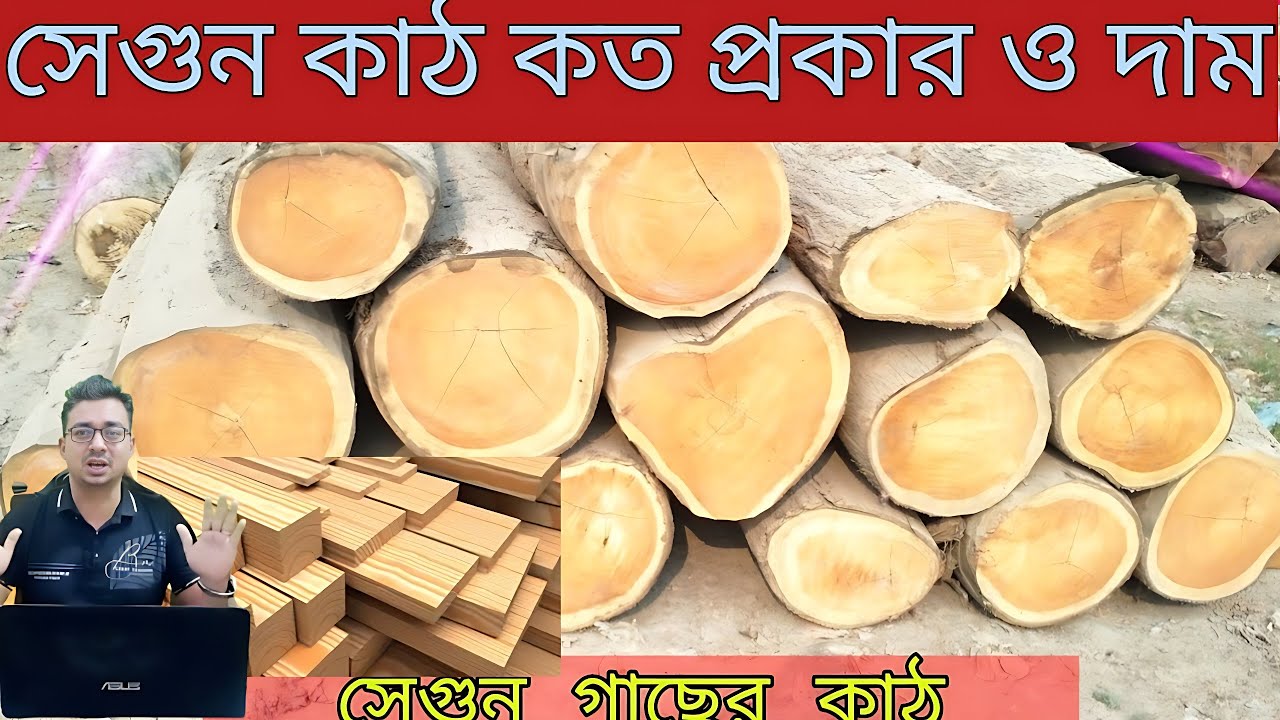 সেগুন কাঠ কত প্রকার 🚀 সেগুন কাঠের বর্তমান দাম 🚀 teak plantation