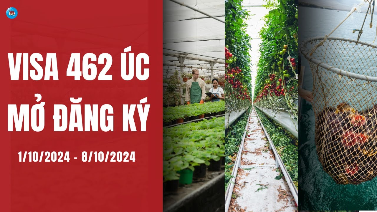 VISA 462 ÚC MỞ ĐĂNG KÝ TỪ 1/10/2024| VEM