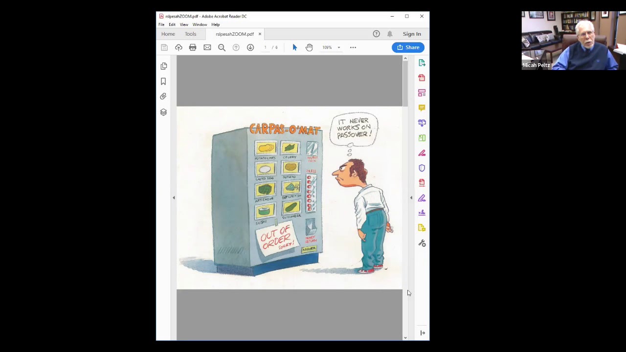 Rabbi Steven Lindemann - Zoom into Pesah!