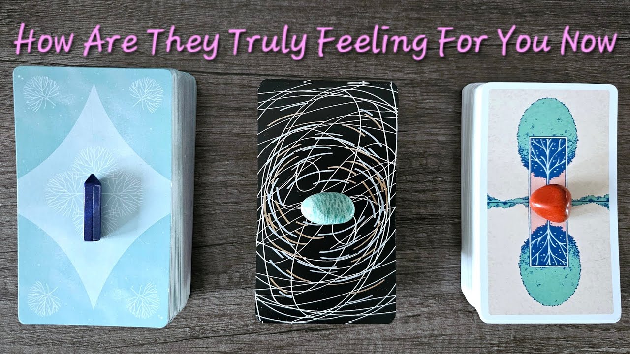 🤎How Are They Truly Feeling About YOU Now?🤎Pick a Card Love Tarot Reading💫Timeless💫
