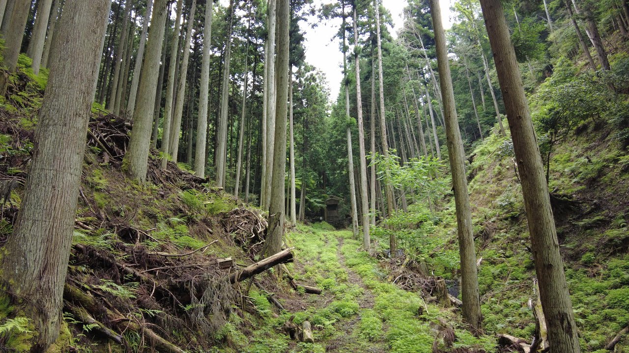 【探検失敗断念編】霊法山鬼法教(れいほうざんきほうきょう)という宗教聖地らしき場所へ向かう　京都市左京区岩倉長谷町