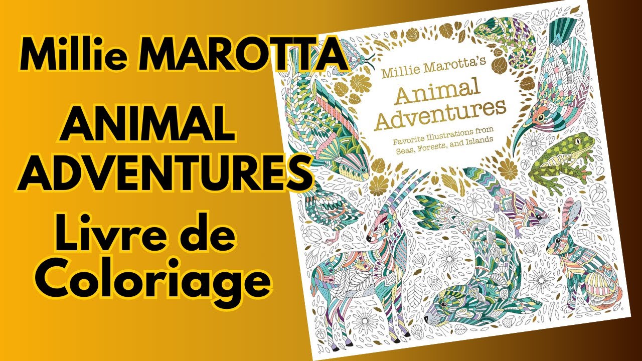 Millie Marotta ANIMAL ADVENTURES - Présentation et Flip through de son livre Best-Of