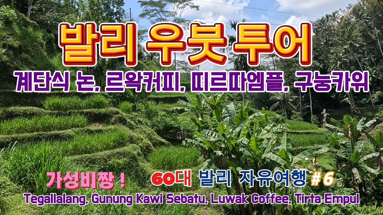 발리우붓투어 힌두사원,계단식논,르왁커피농장