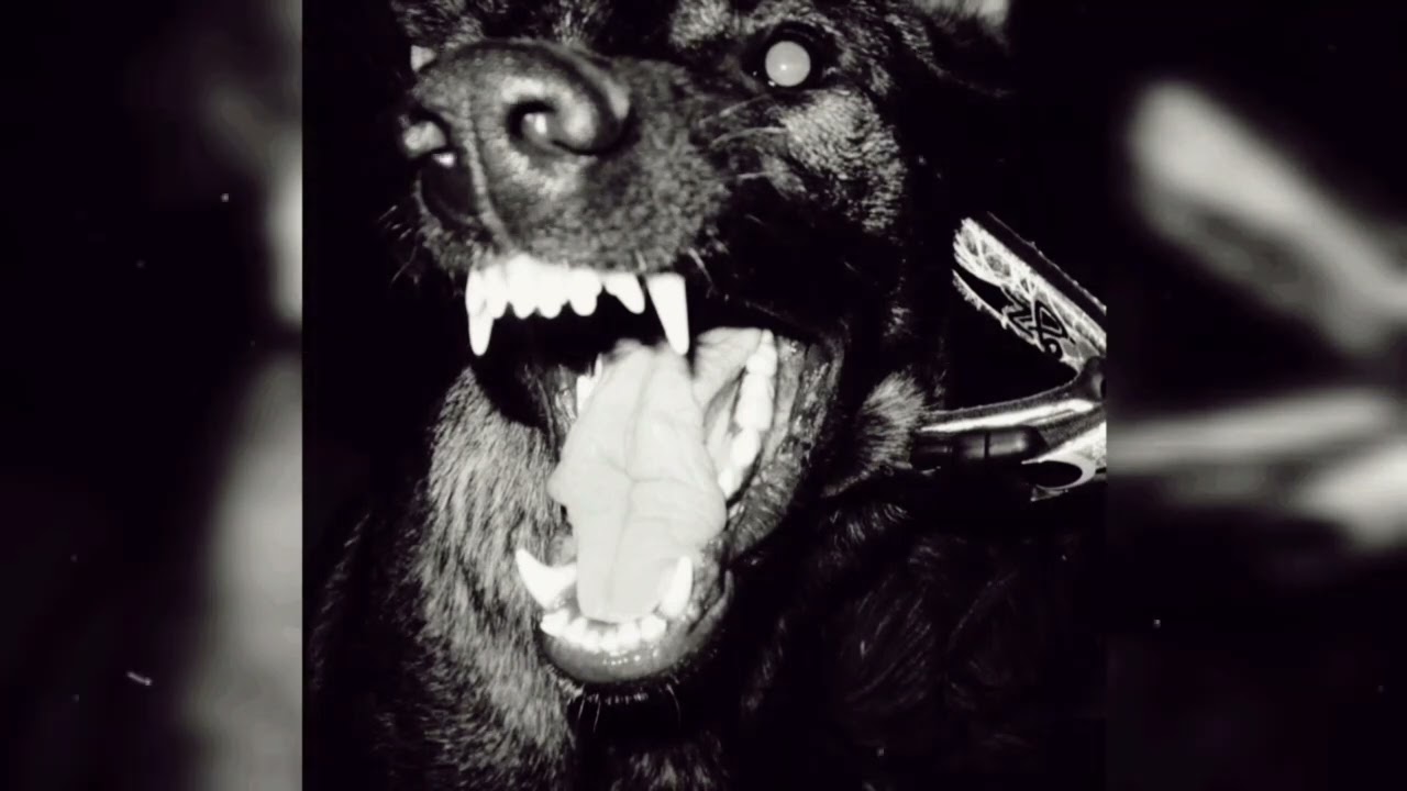 [FREE] Rap Beat - Killer | Old school Freestyle boom Bap Type beat