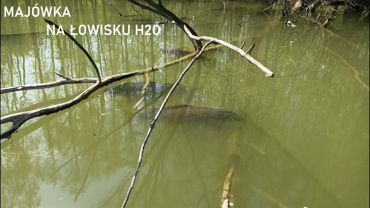 Majówka na łowisku H2O część 2